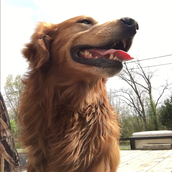 Meet your Posher, Danielle - Picture 1 of 1